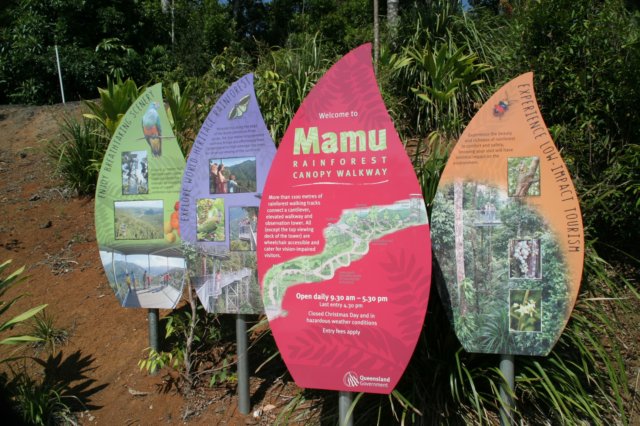 mamurainforest.jpg