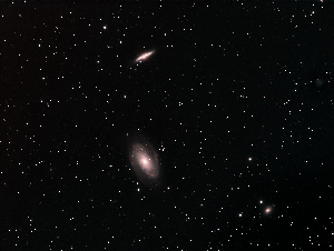 M81/81